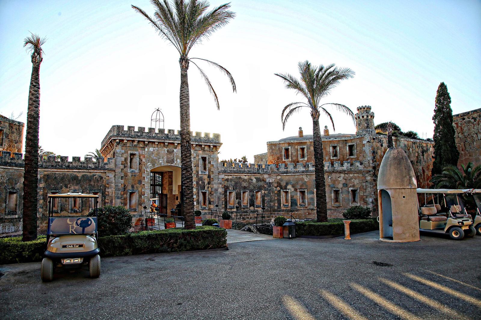 Palma